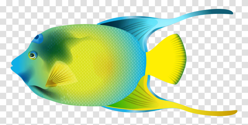 Cute Purple Fish Clipart Transparent Png