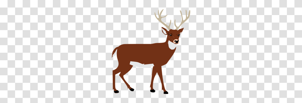 Cute Reindeer Clipart, Antelope, Wildlife, Mammal, Animal Transparent Png