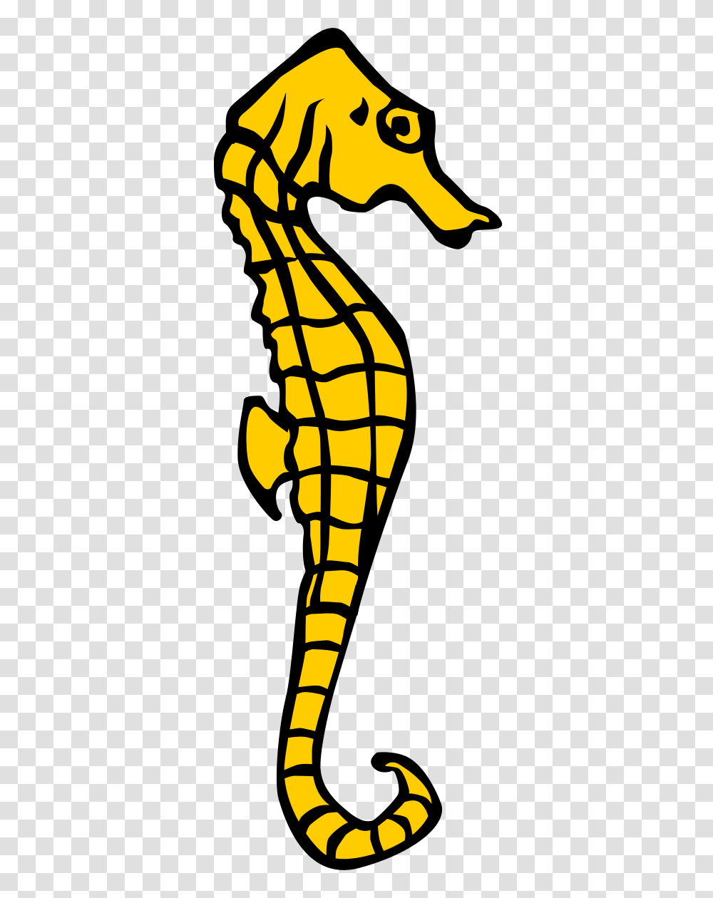 Cute Seahorse Clipart Images Pictures, Sea Life, Animal, Food, Plant Transparent Png
