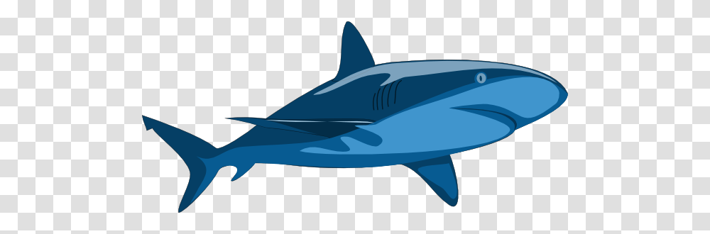 Cute Shark Clip Art, Sea Life, Fish, Animal, Great White Shark Transparent Png
