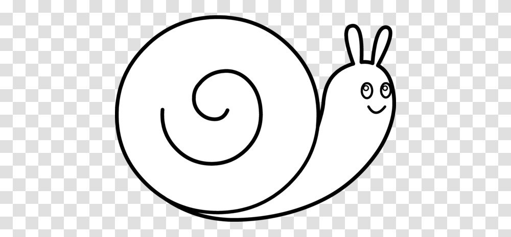 Cute Snail Clip Art, Spiral, Coil Transparent Png