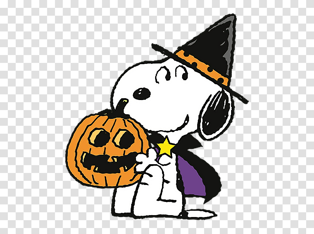Cute Snoopy Colorful Trickortreat Halloween Pumpkin Wiz, Apparel, Party Hat, Plant Transparent Png