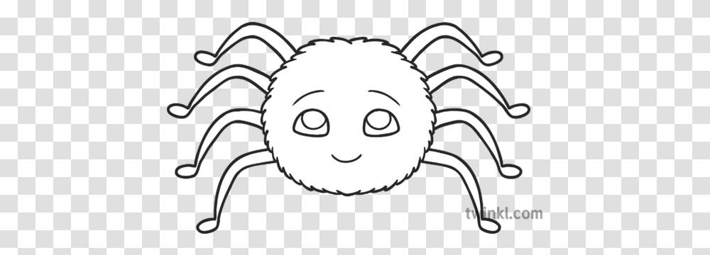 Cute Spider Minibeasts Eyfs Black And White Rgb Illustration Line Art, Sea Life, Animal, Crab, Seafood Transparent Png