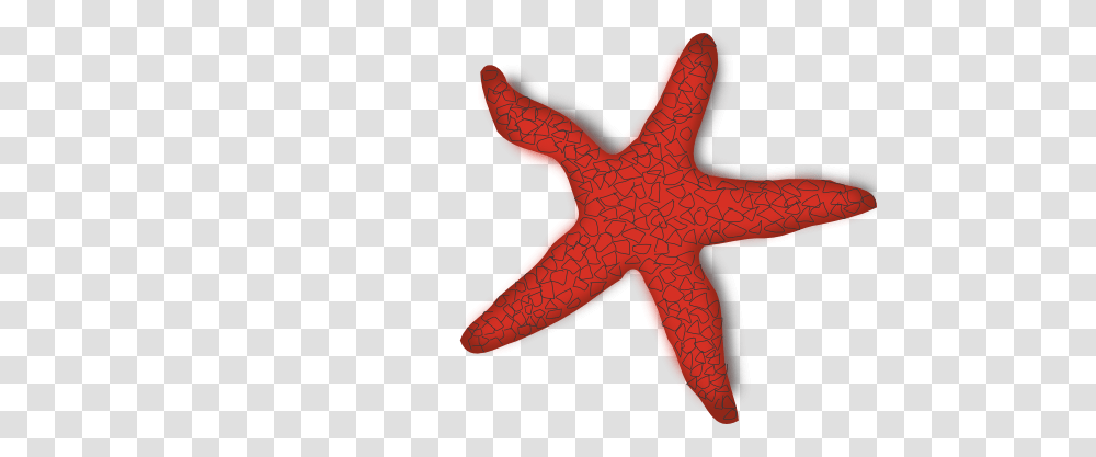 Cute Starfish Clip Art, Sea Life, Animal, Invertebrate Transparent Png
