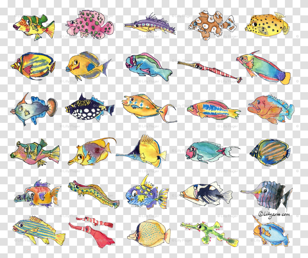 Cute Tropical Fish Cartoon, Animal, Sea Life, Surgeonfish Transparent Png