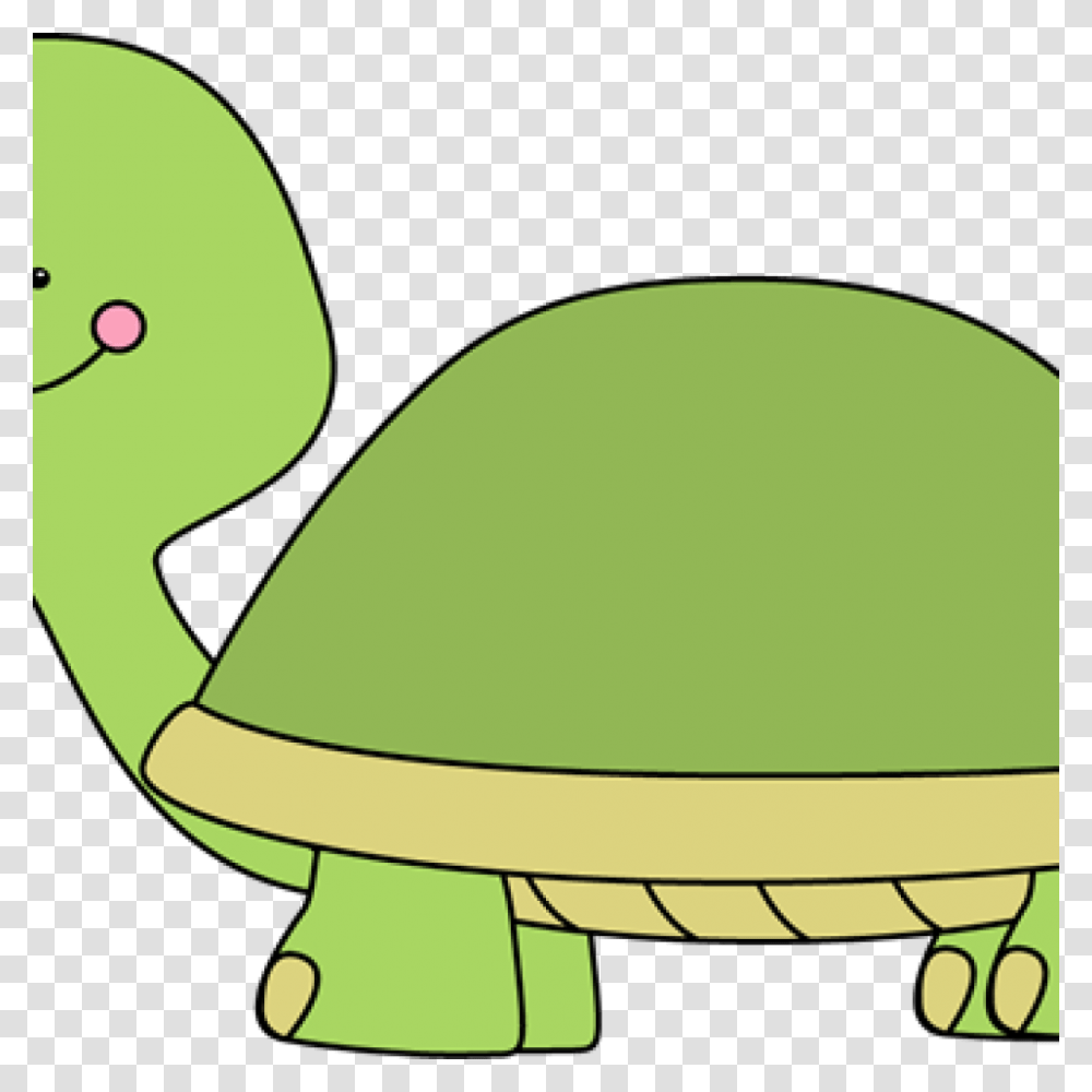 Cute Turtle Clip Art Free Clipart Download, Tennis Ball, Sport, Sports, Animal Transparent Png