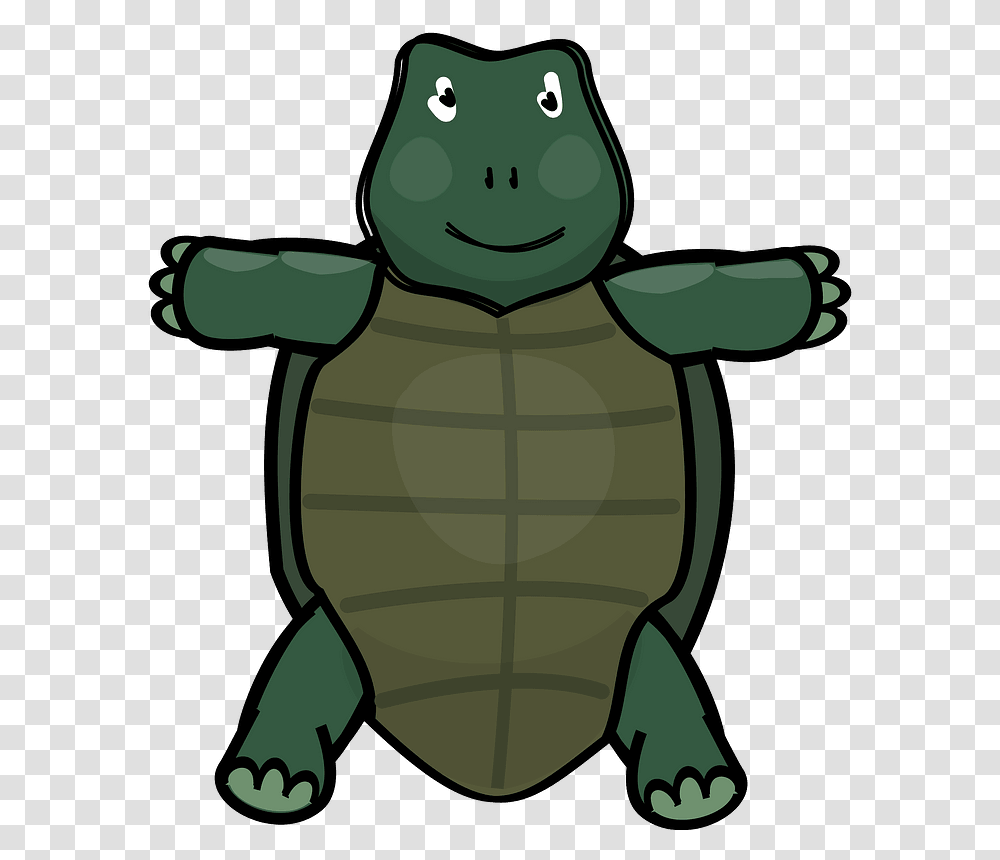 Cute Turtle Clipart Cartoon, Animal, Reptile, Sea Life, Tortoise Transparent Png