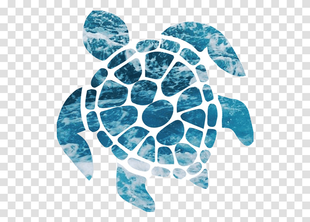 Cute Turtle Ocean Blue Pretty Sticker Niche Aesthetic Vsco Sticker Turtle, Sea Life, Animal, Tortoise, Reptile Transparent Png