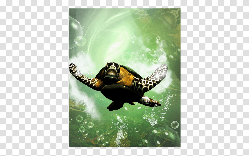 Cute Turtle Poster 16 X20 Hawksbill Sea Turtle, Reptile, Sea Life, Animal, Tortoise Transparent Png