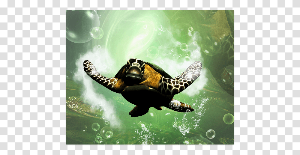 Cute Turtle Poster 20 X16 Hawksbill Sea Turtle, Reptile, Sea Life, Animal, Tortoise Transparent Png