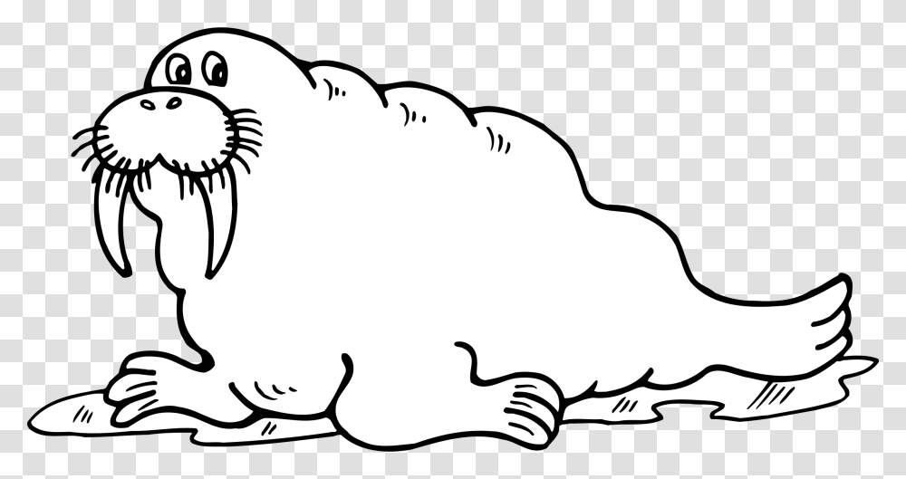 Cute Walrus Black And White Free Walrus Clipart Black And White, Mammal, Animal, Wildlife, Mole Transparent Png