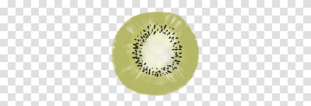 Cute Water Colour Kiwi Kiwi Fruit Cute, Plant, Food, Rug, Sliced Transparent Png