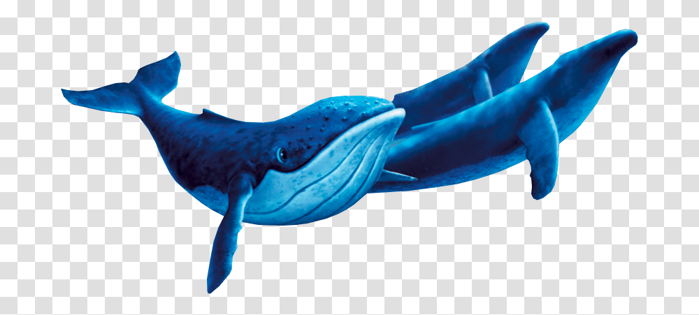 Cute Whale Humpback Whale Fantasia 2000, Sea Life, Animal, Mammal, Dolphin Transparent Png