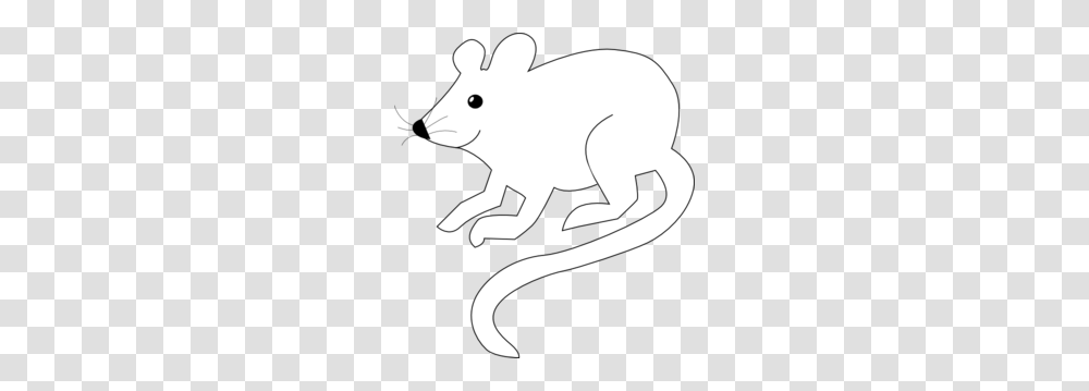 Cute White Mouse Clip Art, Mammal, Animal, Rodent, Pig Transparent Png