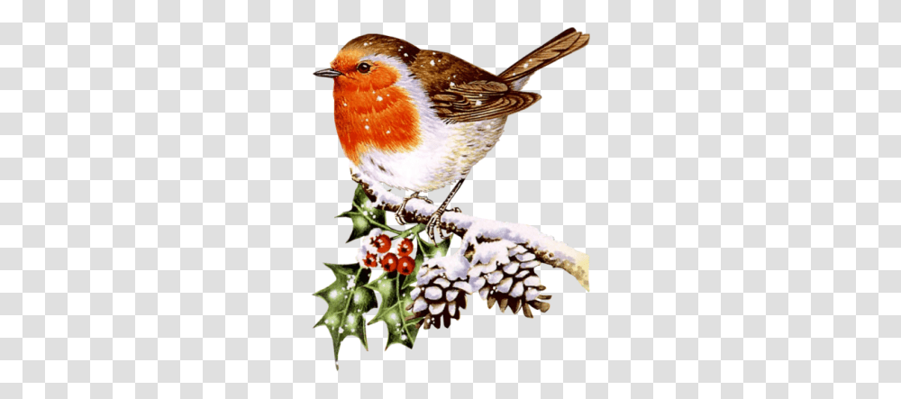 Cute Winter Bird Clip Art Clip Art Winter Bird Related Keywords, Animal, Robin, Finch, Beak Transparent Png