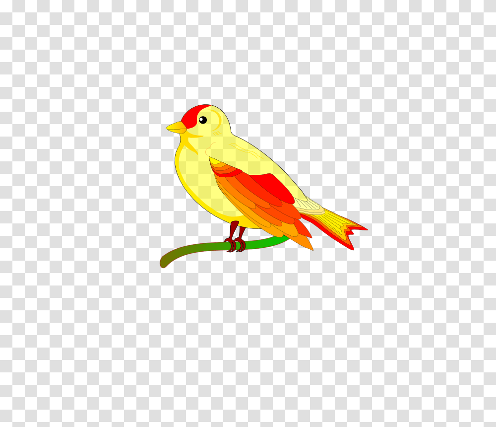 Cute Yellow Bird Clip Art, Animal, Canary, Finch Transparent Png