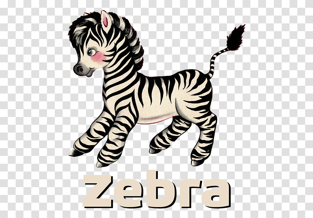 Cuteness, Zebra, Wildlife, Mammal, Animal Transparent Png