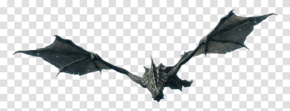 Cutouts Bat, Animal Transparent Png