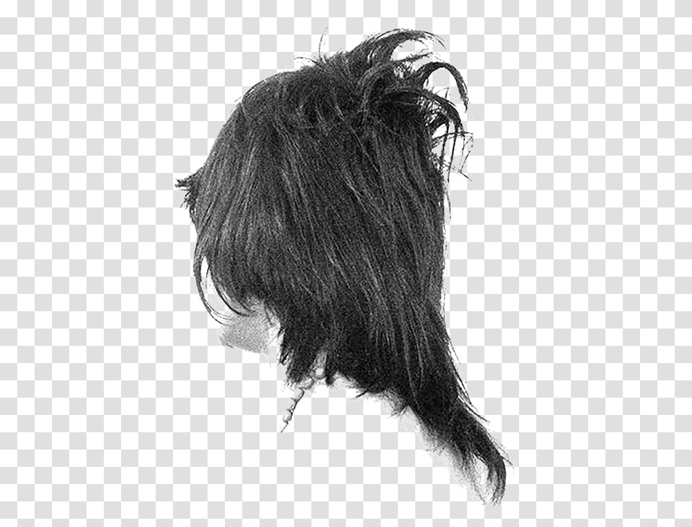 Cutranit Lace Wig, Hair, Black Hair, Person, Human Transparent Png