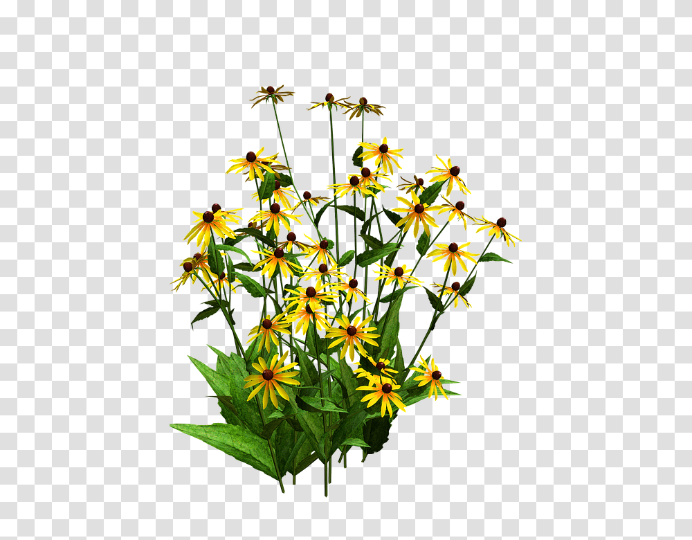 Cuts Green, Plant, Flower, Daisy, Flower Arrangement Transparent Png