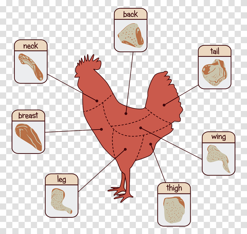 Cuts Of Chicken Price, Label, Leaf, Sticker Transparent Png