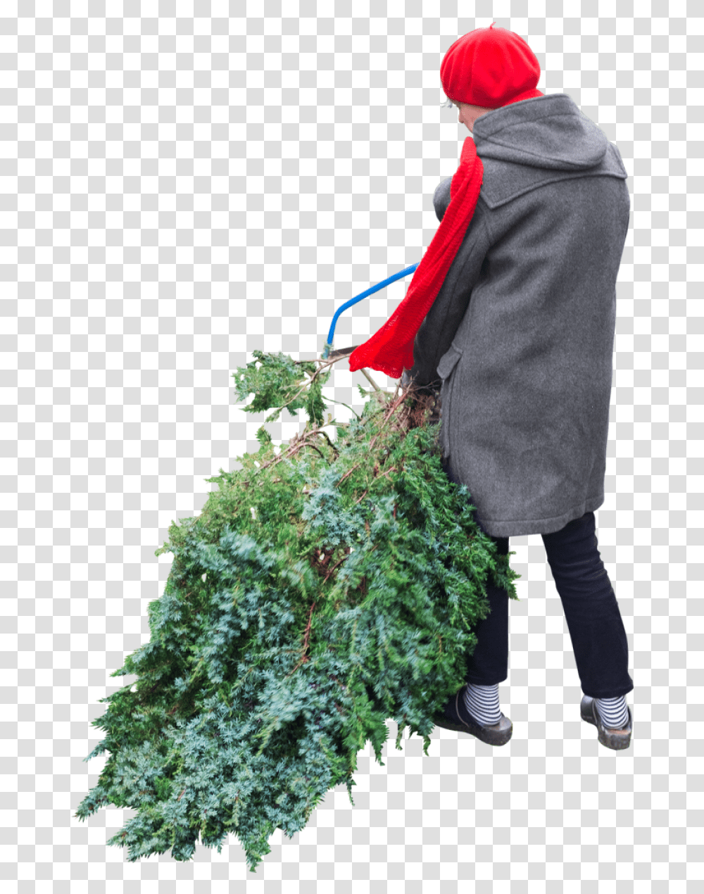 Cuts Tree Image Purepng Free Cc0 Cut Out People Christmas, Clothing, Person, Plant, Sleeve Transparent Png