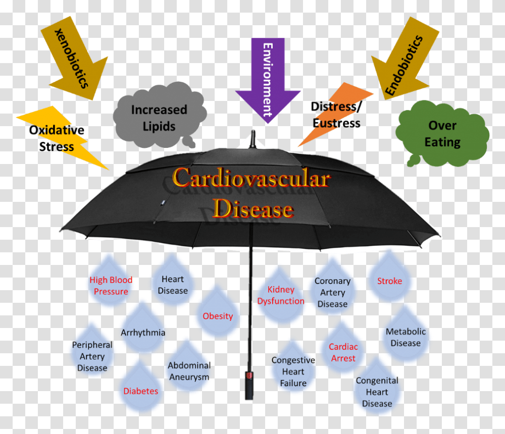Cvd Umbrella Coronary Artery Disease Umbrella, Poster, Advertisement, Flyer, Paper Transparent Png