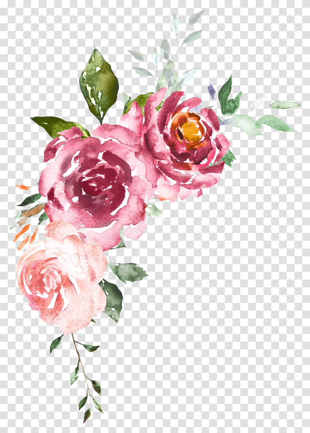 Cveti Akvarel, Plant, Flower, Blossom, Peony Transparent Png