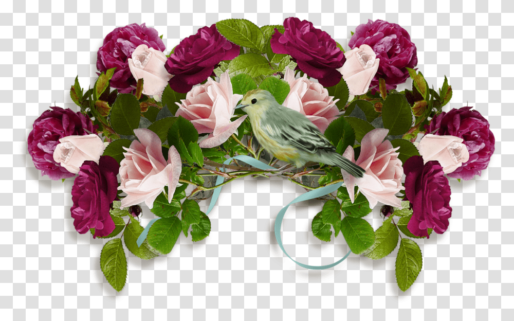 Cveti Krasivie Na Prozrachnom Fone, Bird, Animal, Plant, Flower Transparent Png