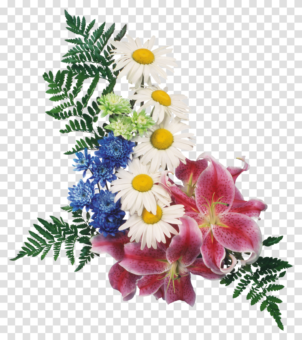 Cveti S Prozrachnim Fonom, Plant, Flower, Blossom, Flower Arrangement Transparent Png