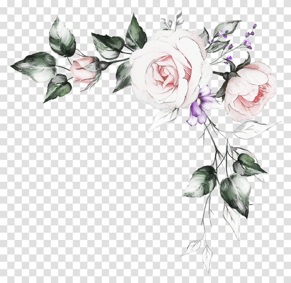 Акварельные цветы на белом фоне