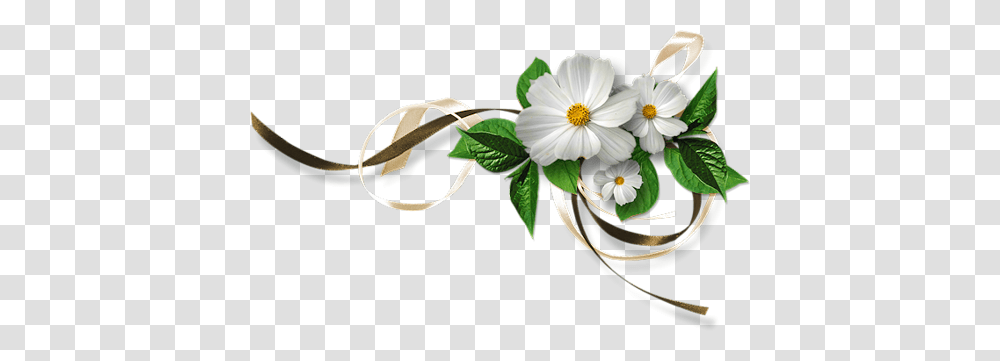 Cvetia Flowers Tube, Plant, Blossom, Daisy, Floral Design Transparent Png