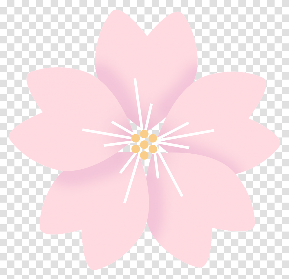 Cvetok Sakuri, Plant, Flower, Blossom, Anther Transparent Png