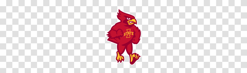 Cy The Cardinal, Animal, Bird, Poultry, Fowl Transparent Png