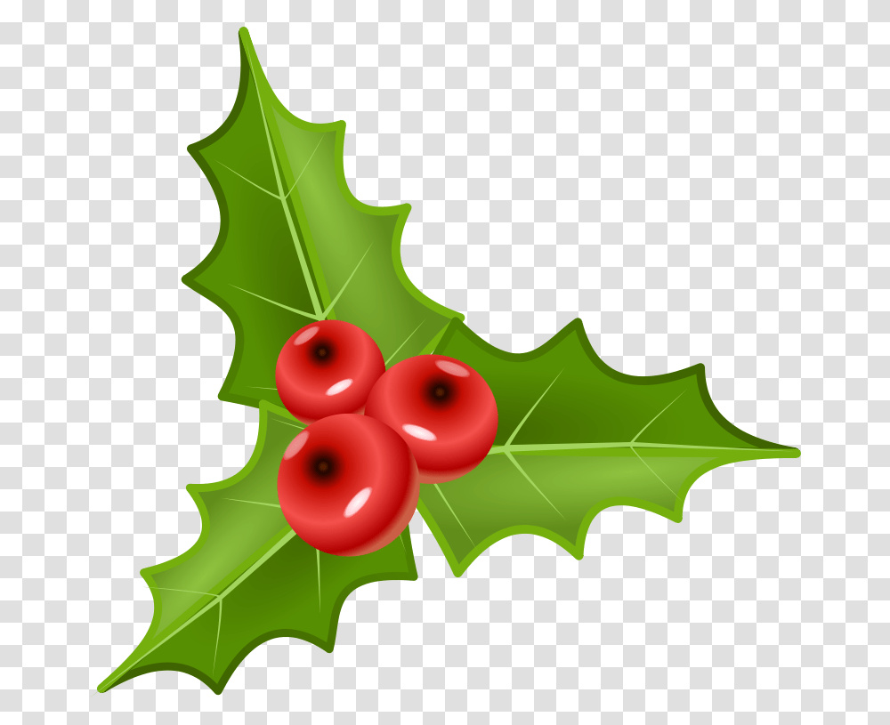 Cyb Houx Holly, Leaf, Plant, Tree, Fruit Transparent Png