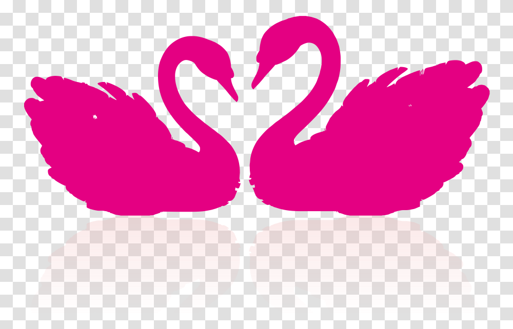 Cygnini Drawing Clip Art Swan Couple Clipart, Heart, Bird, Animal, Flamingo Transparent Png