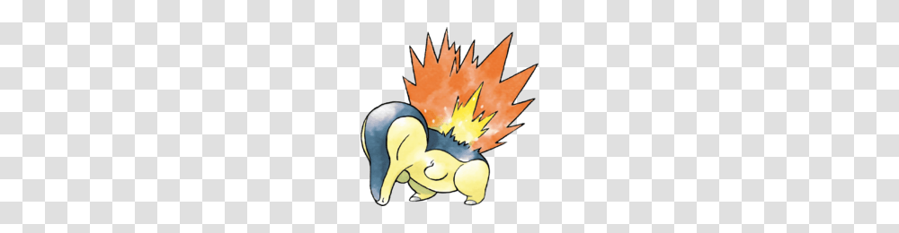 Cyndaquil, Animal, Bird, Kiwi Bird, Fire Transparent Png