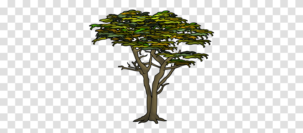 Cypress Tree Pond Pine, Plant, Vegetation, Leaf, Silhouette Transparent Png