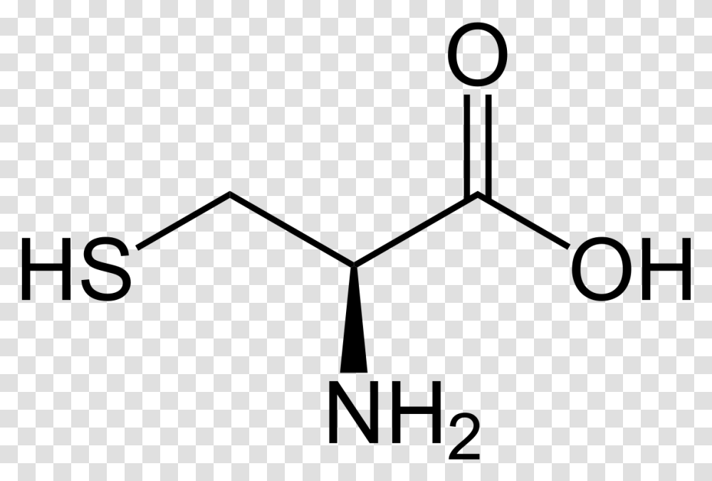 Cysteine Structure, Gray, World Of Warcraft Transparent Png