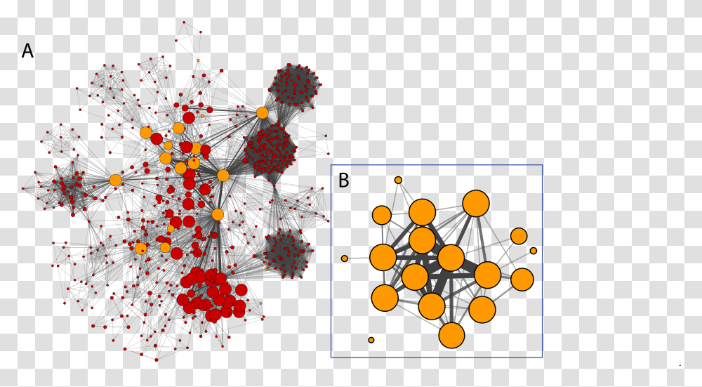 Cytoscape Network Analysis, Plot, Diagram Transparent Png