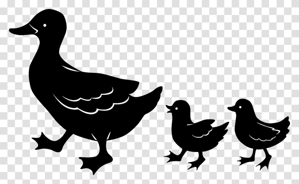 Czarno, Bird, Animal, Waterfowl, Blackbird Transparent Png