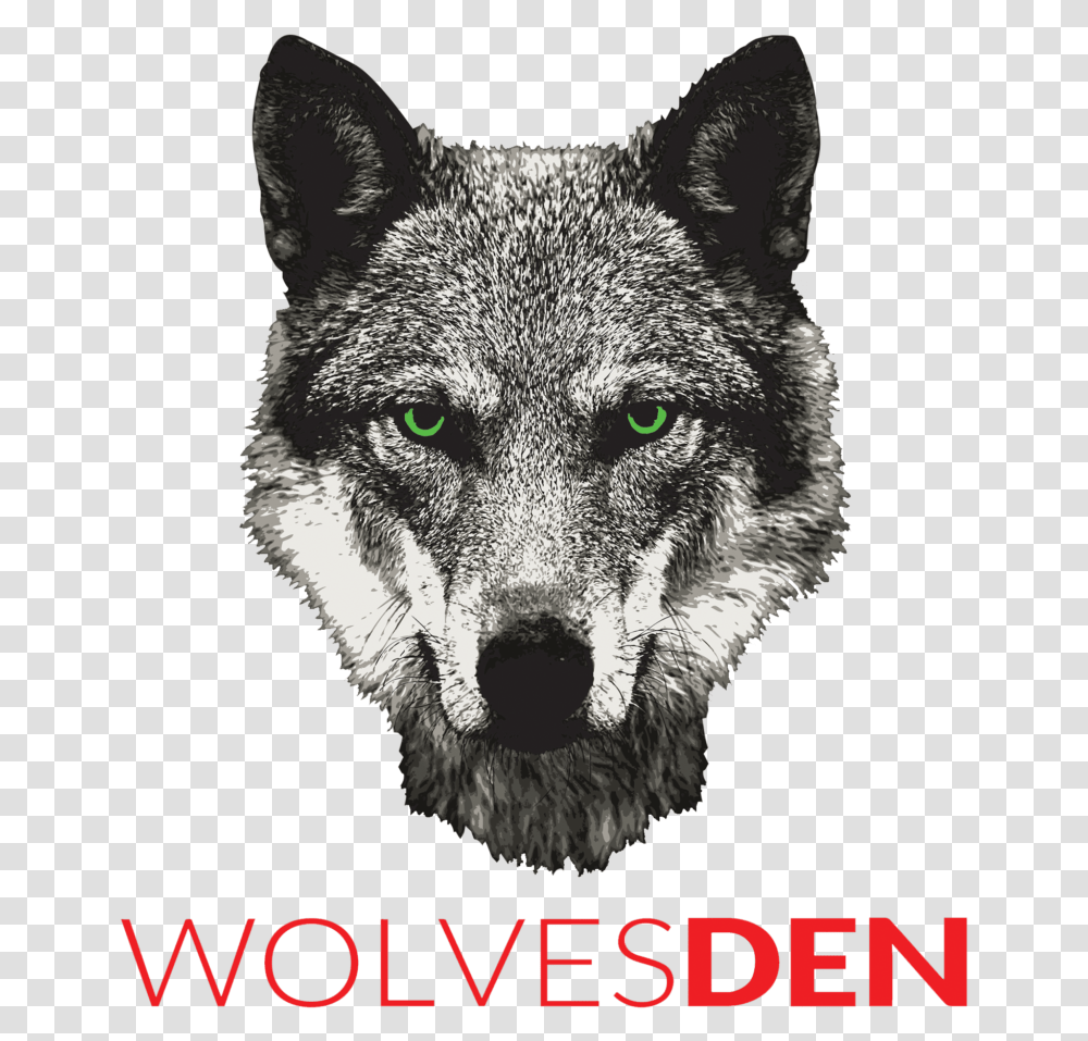 Czechoslovakian Wolfdog, Pet, Canine, Animal, Mammal Transparent Png