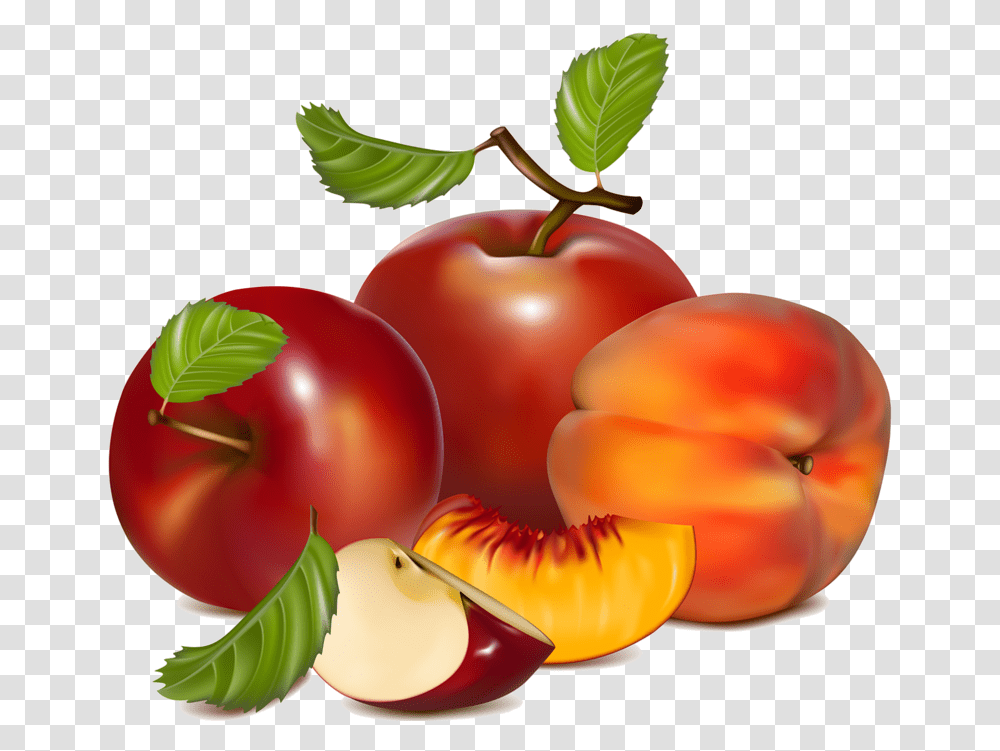 D E Ac Fruit Vector, Plant, Food, Peach, Plum Transparent Png