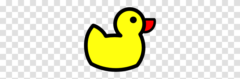 D U C K S, Animal, Bird, Duck, Waterfowl Transparent Png