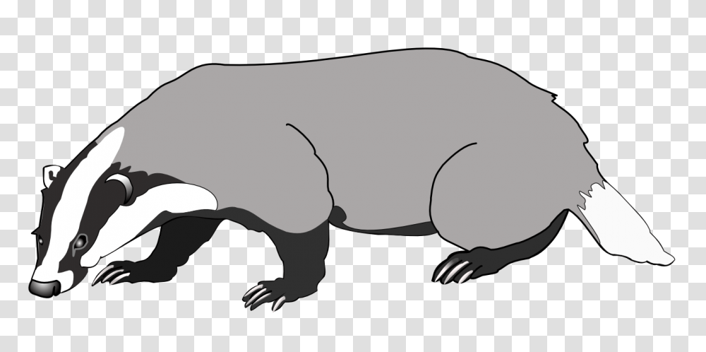 Dachs Badger, Animal, Mammal, Wildlife, Aardvark Transparent Png