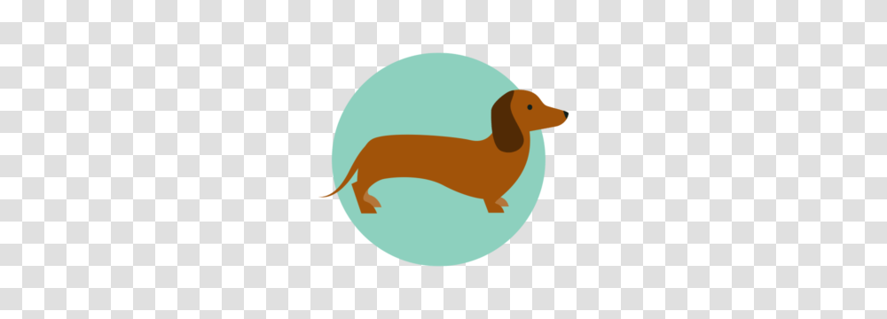 Dachshund, Animals, Bird, Duck, Dodo Transparent Png