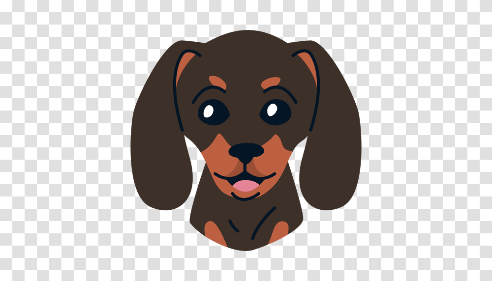 Dachshund, Animals, Head, Face, Photography Transparent Png