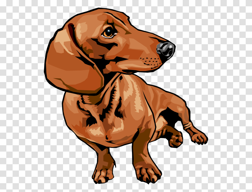 Dachshund, Animals, Hound, Dog, Pet Transparent Png