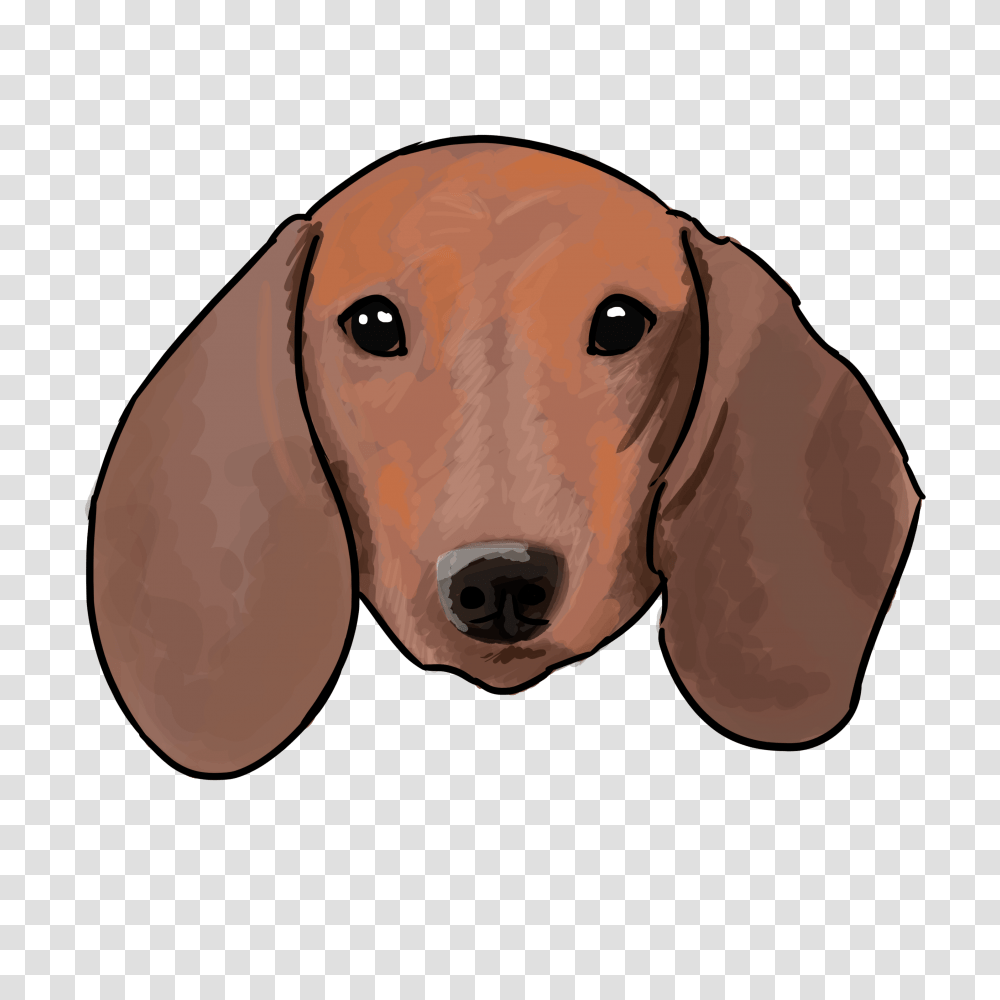 Dachshund, Animals, Pet, Hound, Dog Transparent Png