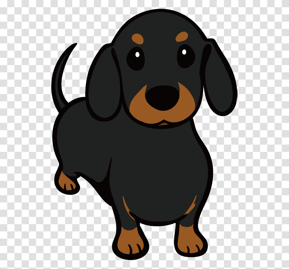 Dachshund, Animals, Puppy, Dog, Pet Transparent Png